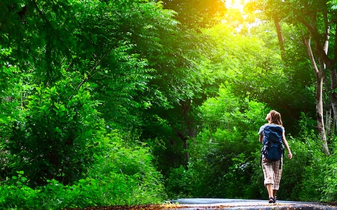 Nature Walk on Gilbert Trail